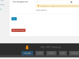Added The Example Debug Tab My Wp Customize