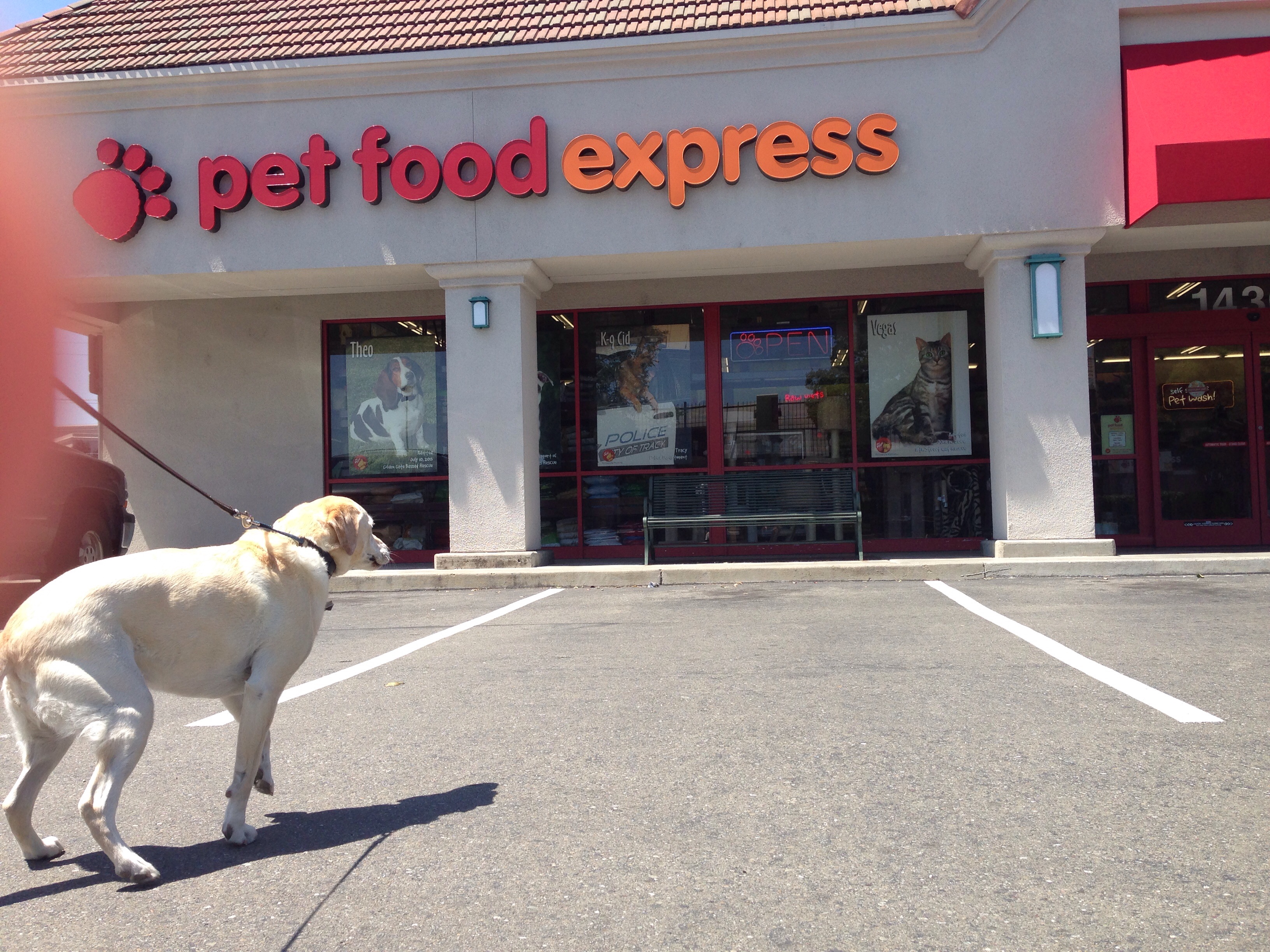 I Got To Go To Pet Food Express Myyellowdog
