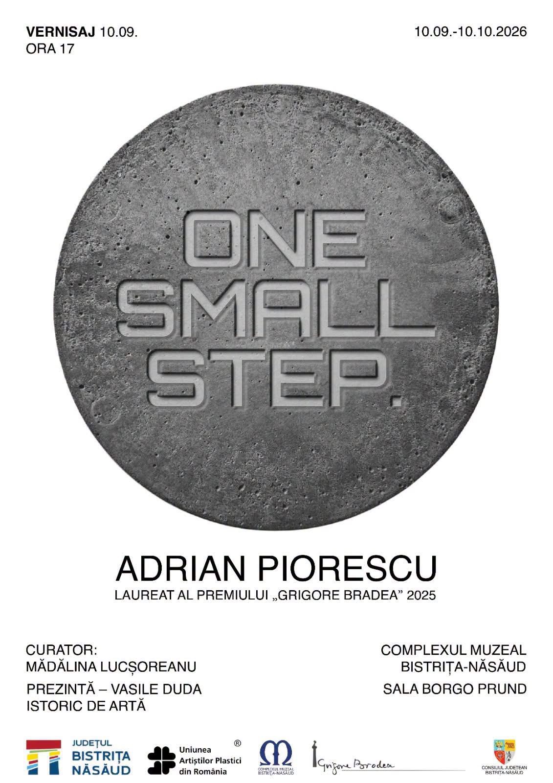 Adrian Piorescu își aduce sculpturile la Bistrița. Expoziția „One Small Step”, deschisă timp de o lună
