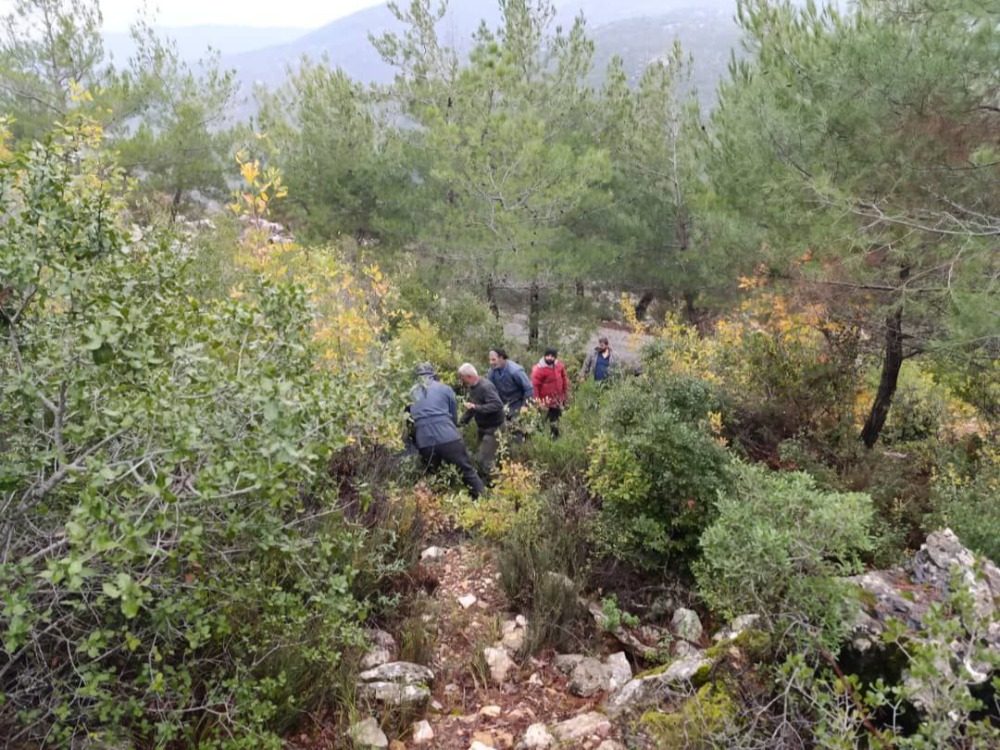 الزراعة السورية: نعتزم توزيع الحطب على العائلات في المخيمات