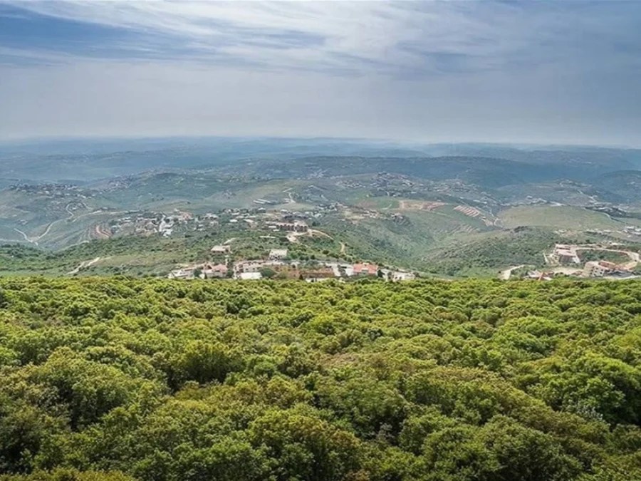 الجيش الإسرائيلي يطالب سكان بجنوب لبنان بالإخلاء الفوري