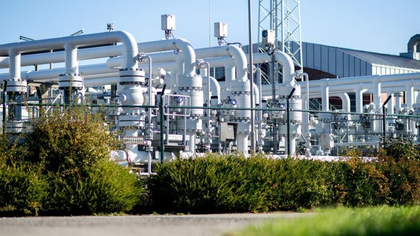 ألمانيا تملأ مخزوناتها من الغاز بنسبة 95%