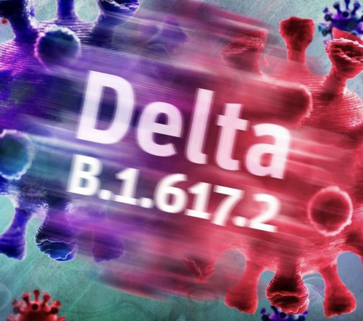 إرتفاع أعداد المصابين بطفرة الدلتا بمدينة كلزنكرشن