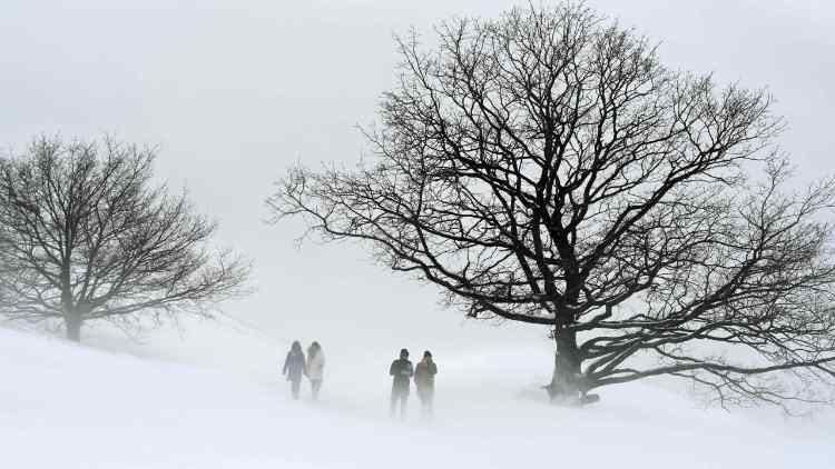 عاصفة ثلجية مقبلة على ألمانيا