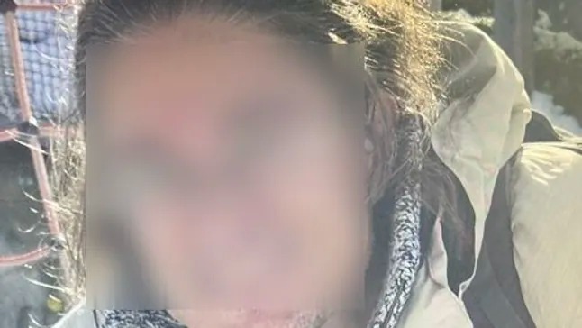 المشتبه به في هجمات استهدفت منشآت الكهرباء في ألمانيا