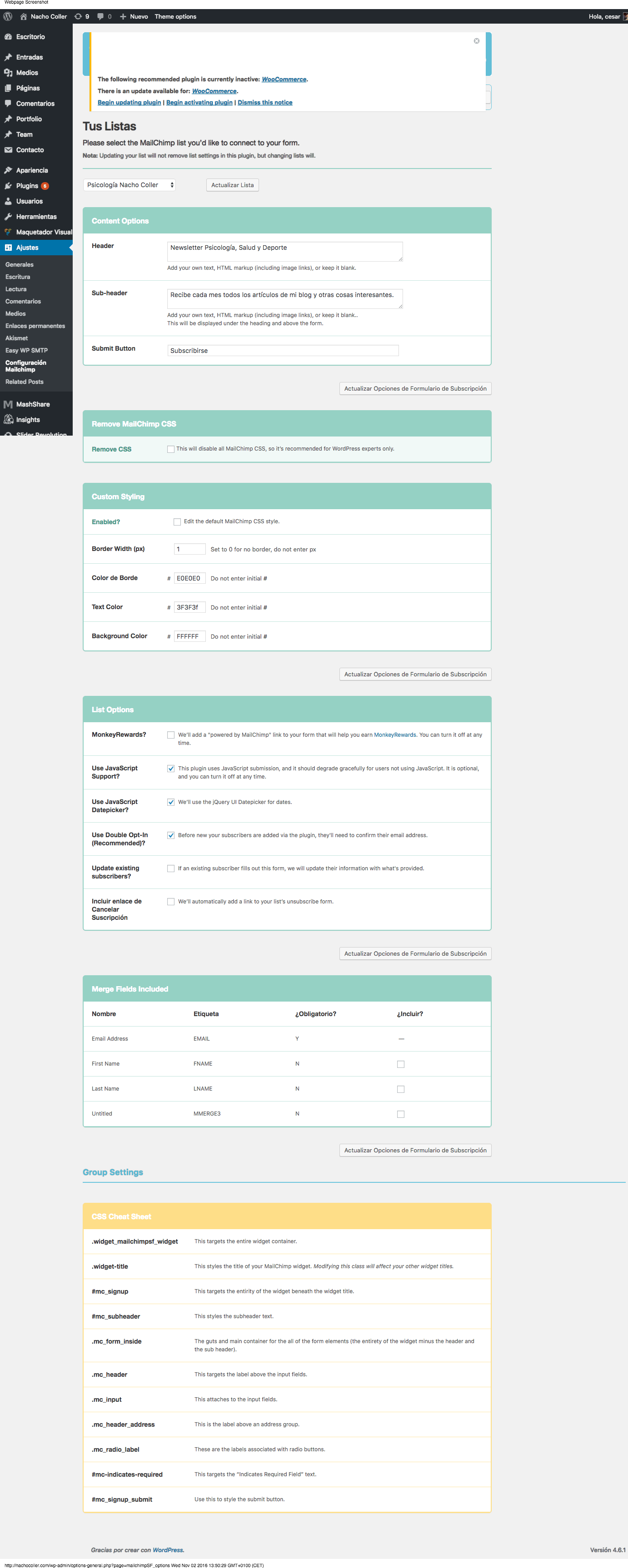 Mailchimp plugin settings