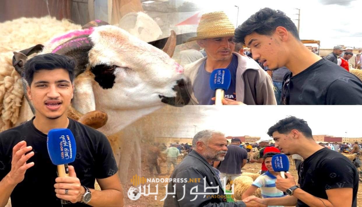 شاهدوا.. الحولي رخيص في سوق العروي وغير 1500 درهم.. كل شي يعيّد شوفو الاقبال