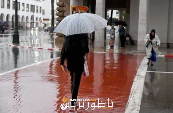 “الأرصاد” تتوقع تساقطات مطرية الجمعة