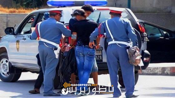 الناظور.. الدرك الملكي يطيح بشبكة إتجار في الخمور بقرية أركمان