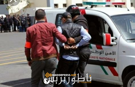 اعتقال تاجر عجول كبير بالناظور على خلفية ملف اسكوبار الصحراء