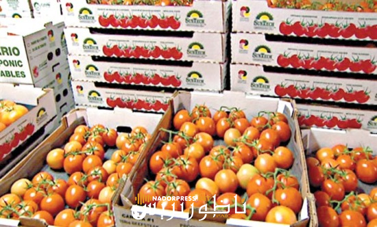 مطالب حزبية في إسبانيا بوقف الاتفاق الفلاحي مع المغرب