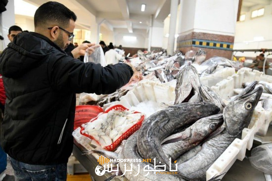 مهنيون يربطون ارتفاع أسعار السمك في المغرب بالطقس وتكاليف الرحلات