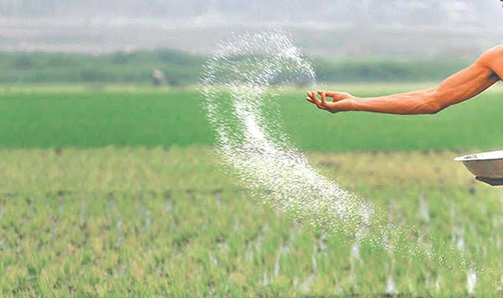 किसानलाई मलकै दुःख कहिलेसम्म ?