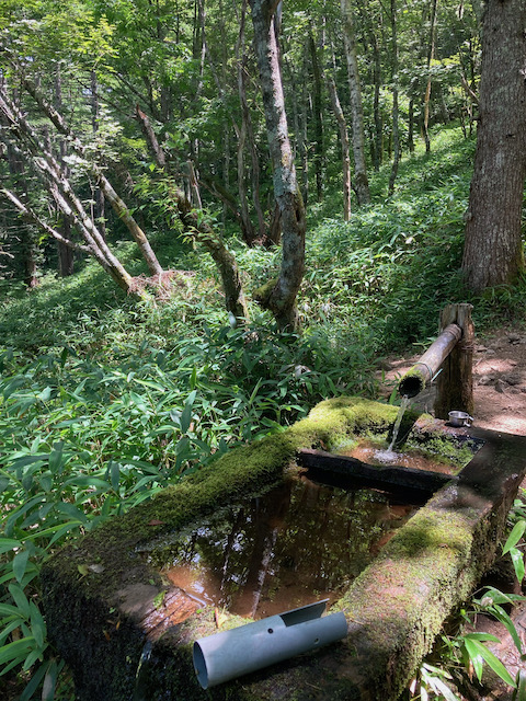 タカウチ場の水場