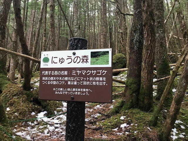 翌日は曇りがち