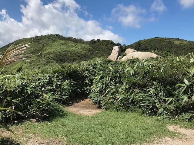 インディアン平原