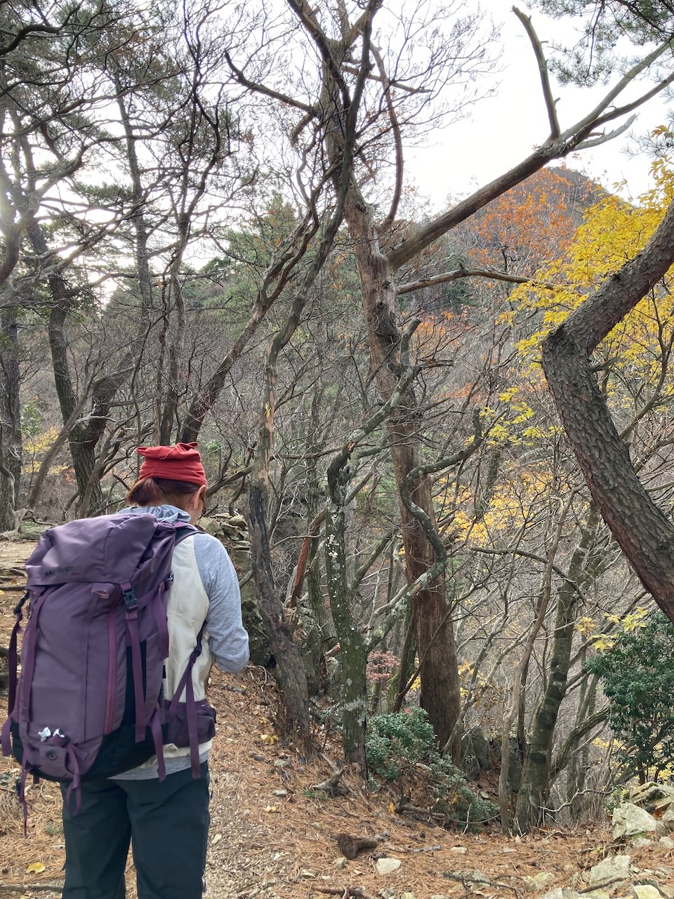 ハライドへのルートは急登