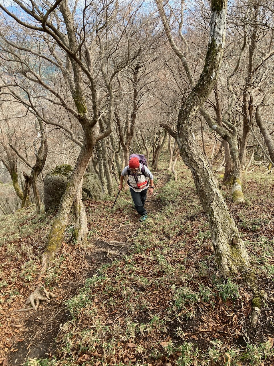 県境稜線までも結構きつい