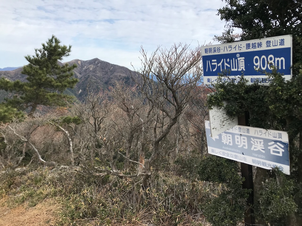 ハライドに到着