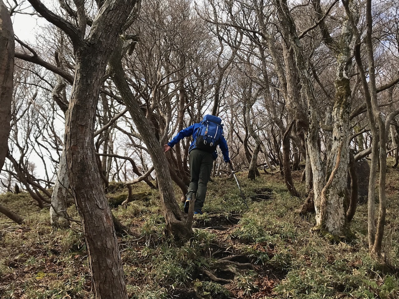 まだまだ登りが