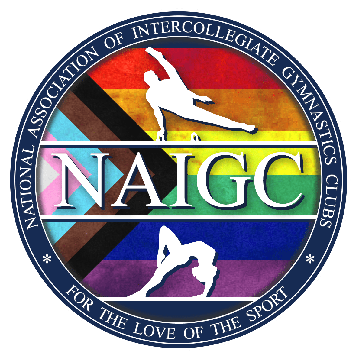 NAIGC Scholarship