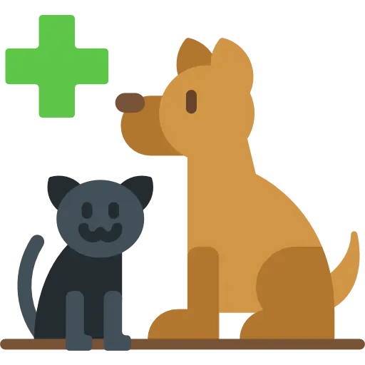 Pets & Animals