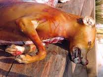 PEPPER SOUP SELLER ARRESTED OVER MISSING DOGS
