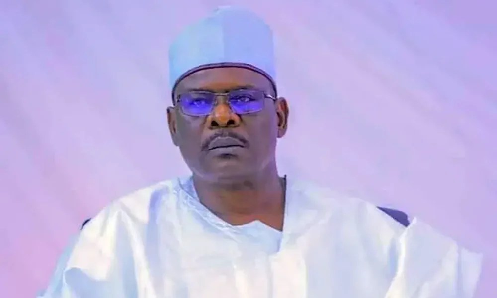 Senator Ali Ndume 1