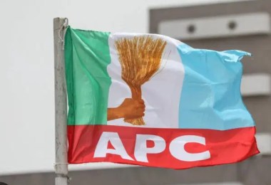 APC flag.webp