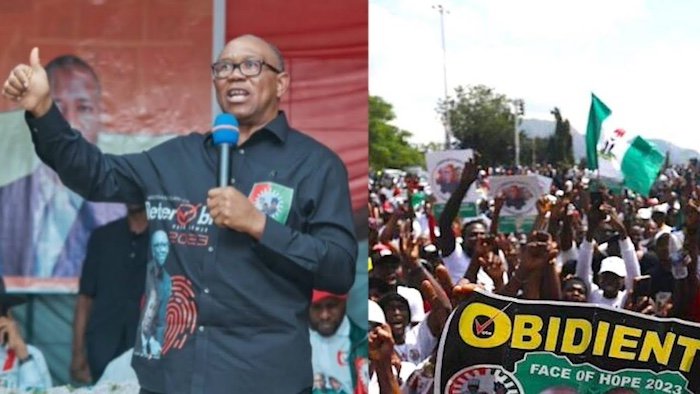 Obidient and Obi
