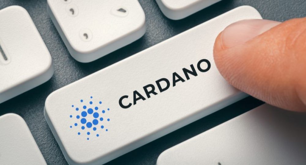 Cardano flying to space, up 89% in 7 days
