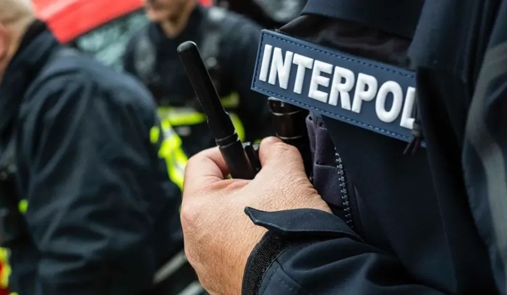 INTERPOL arrests suspects linked to $562 million crypto Ponzi scheme in Nigeria 