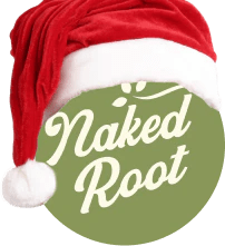 Naked Root Gift Card - Ultra HD Ocean Patterns for Desktop