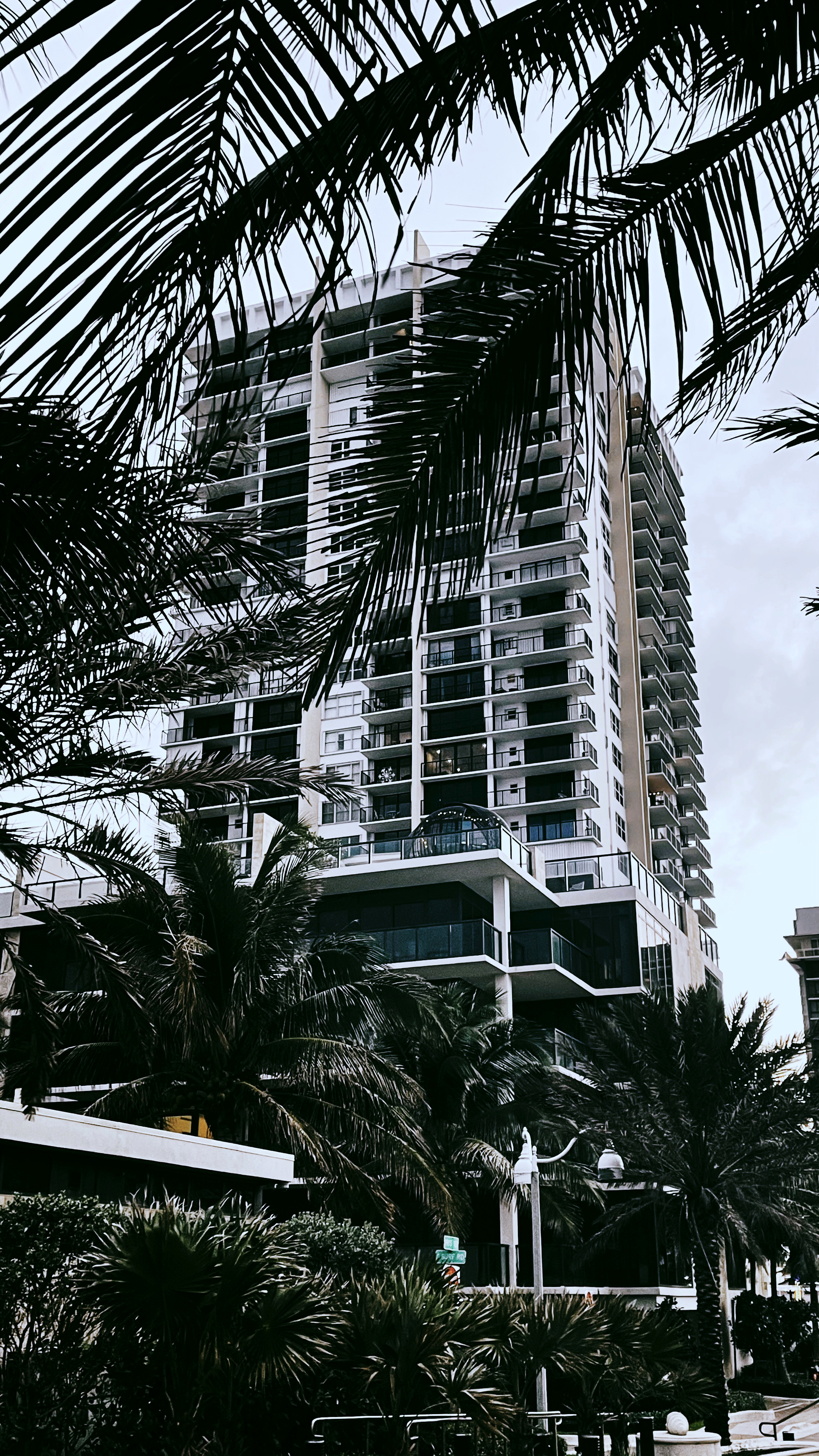 PicfxFile 59