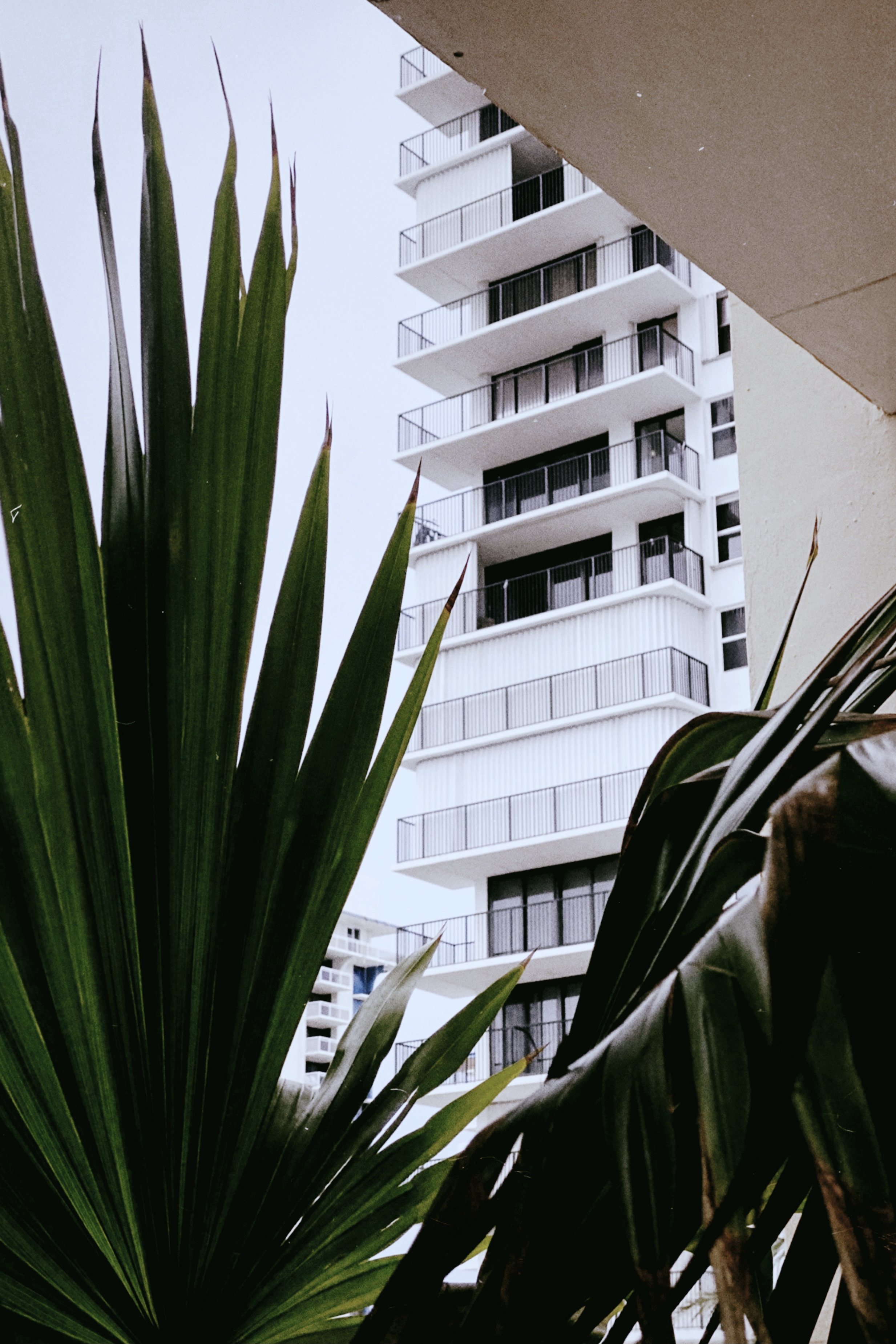 Shot with NOMO 135 SP.