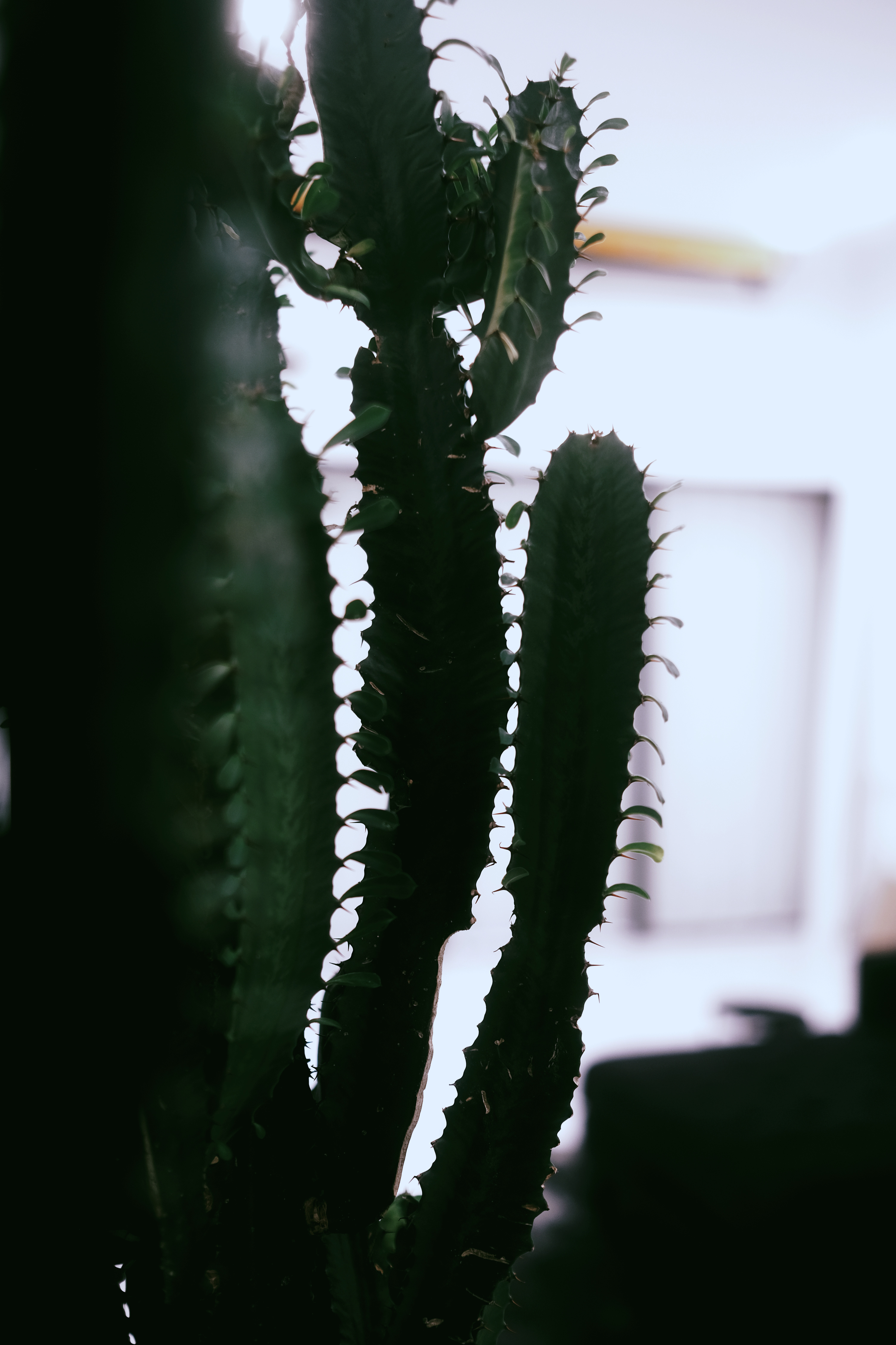 PicfxFile 64