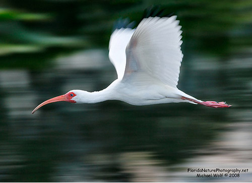 In cinematography and photography panning means swivelling a still or video camera horizontally from a fixed position. 40 Examples of Panning Shots in Photography | Naldz Graphics