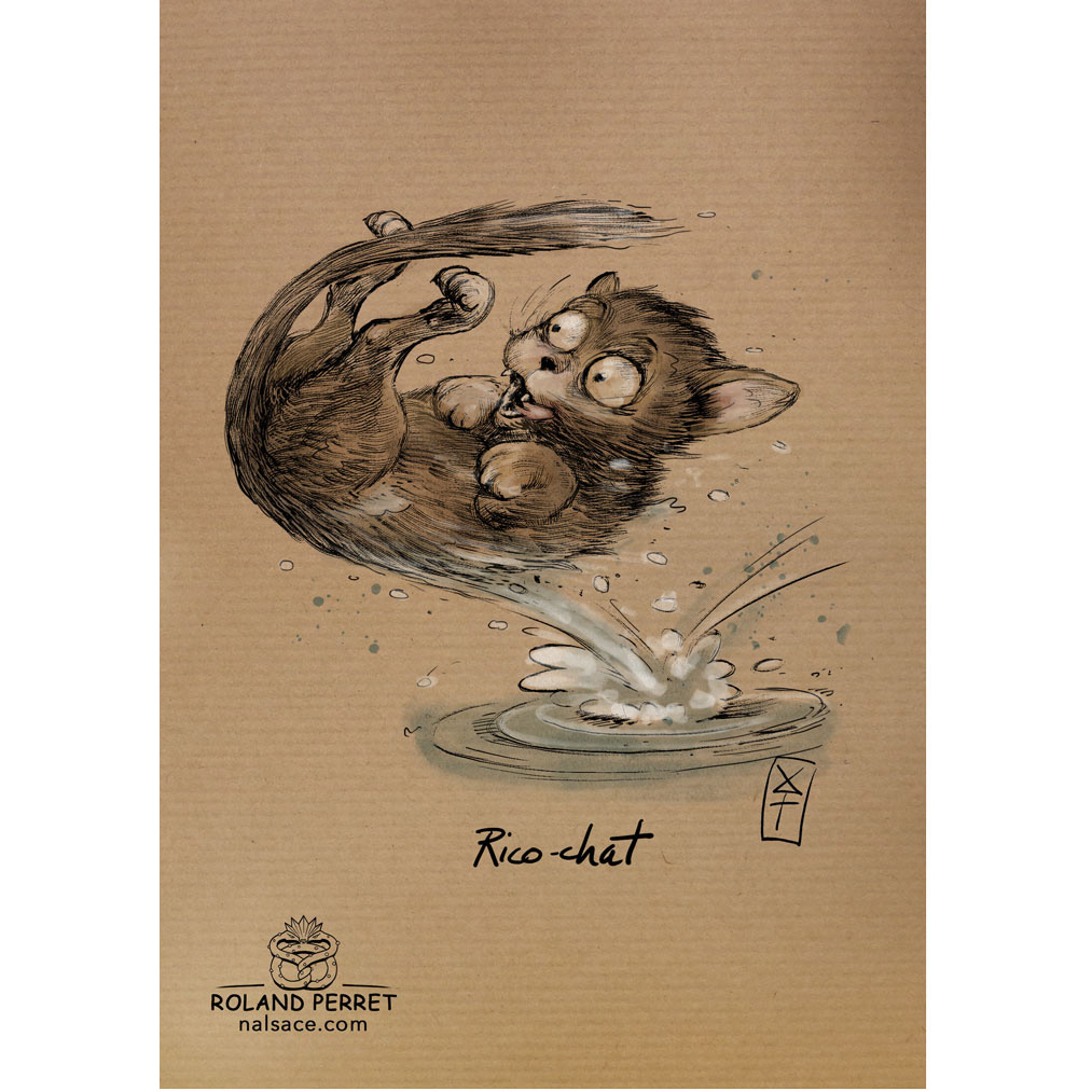 Ricochet de chat par Roland Perret, jeu du Chat-llenge