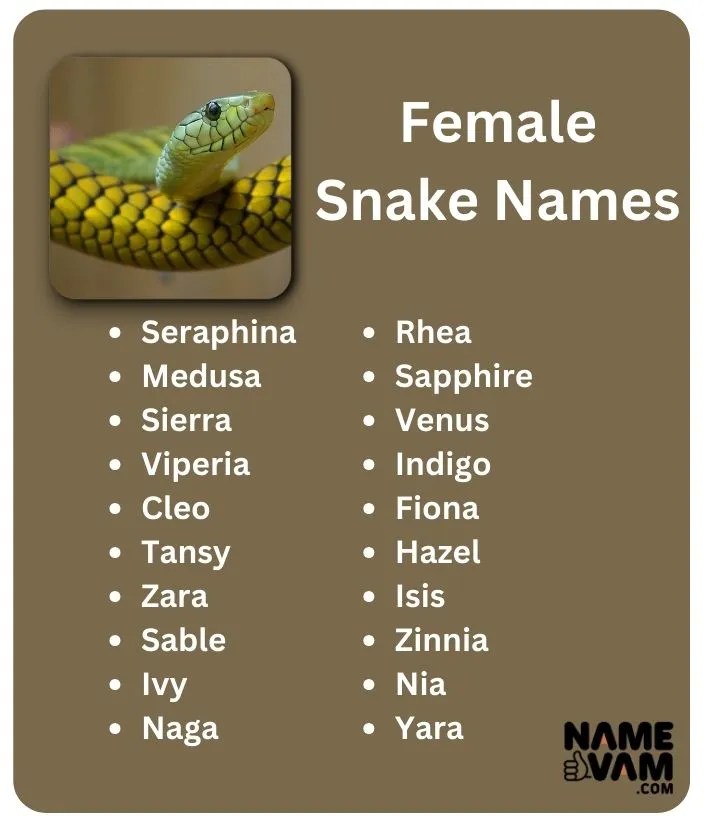 female-snakesnames