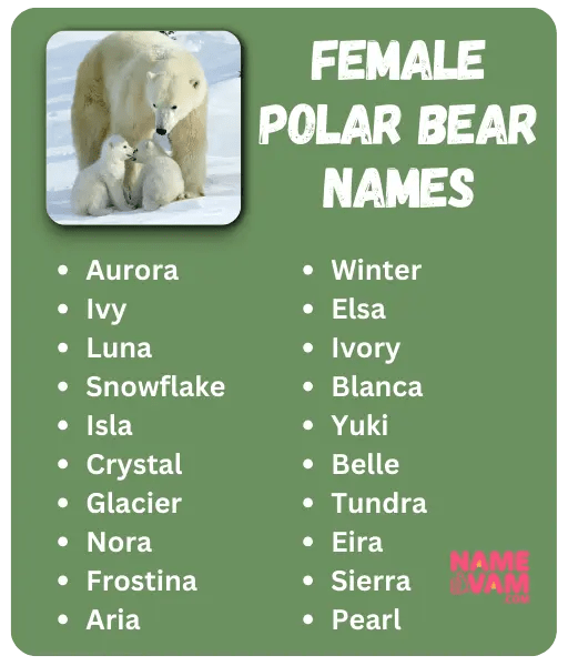 Female Polar Bear Names