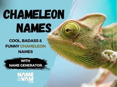 chameleon Names