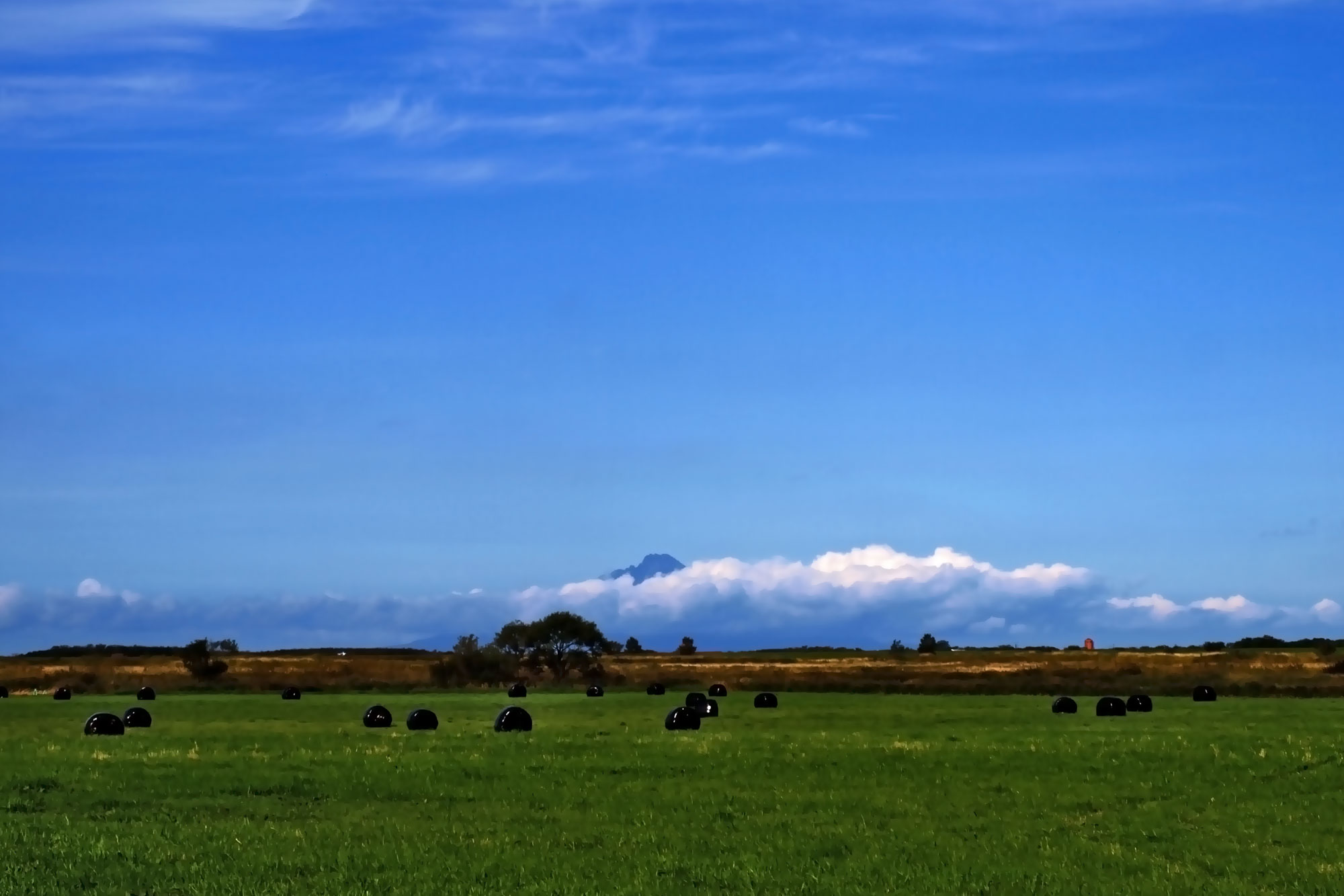 利尻岳は滅多に見ることができない
