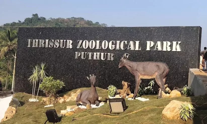 zoo