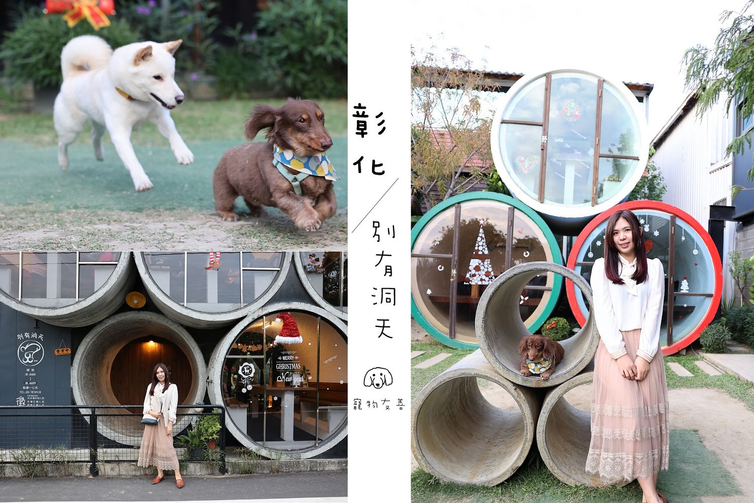 彰化花壇|別有洞天咖啡館，超可愛水管屋，寵物友善餐廳