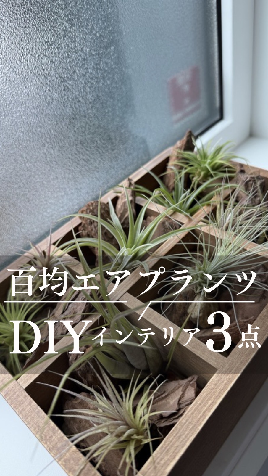 100均