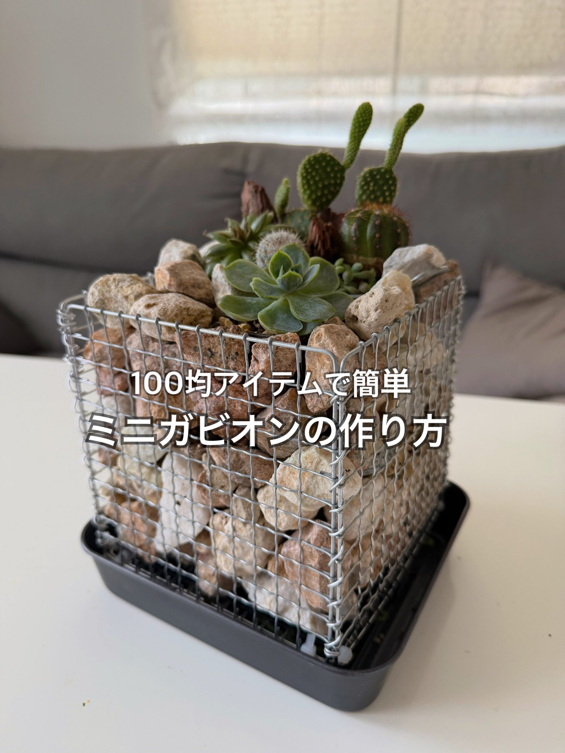 100均DIYで作ったダイソー焼き網のミニガビオン