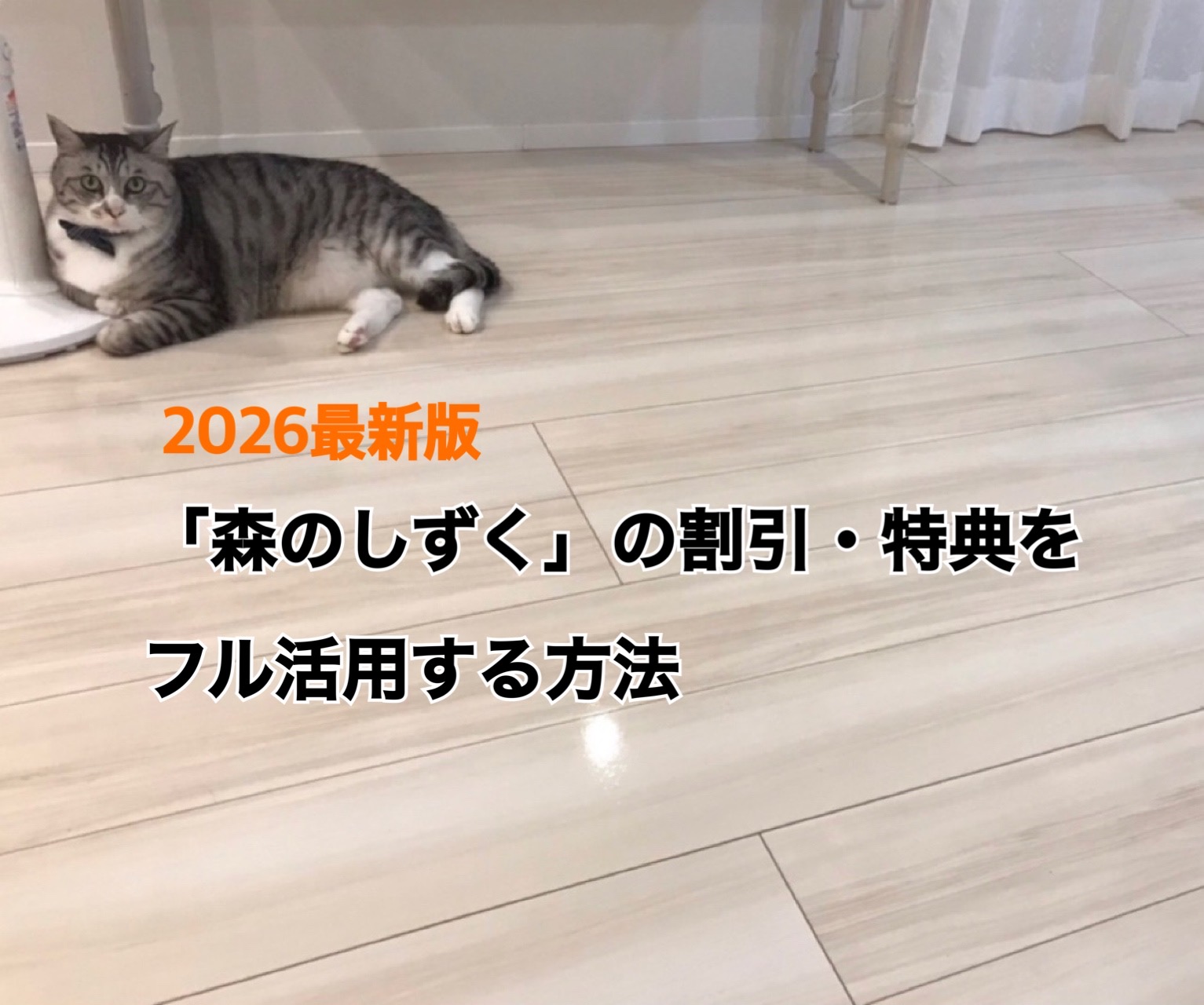 森のしずくの紹介コード・割引・特典