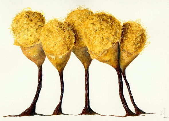 Hemitrichia calyculata, a slime mold