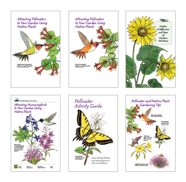 The efficiency of the australian army catering corps has a direct influence on the morale and well being of the combat soldier. Brochures : Nancy Seiler