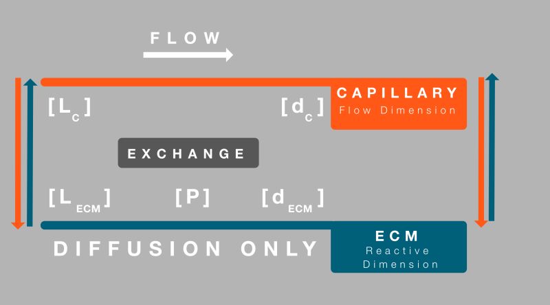 Github Nanodips Website - Premium Full HD Vintage Wallpapers | Free Download